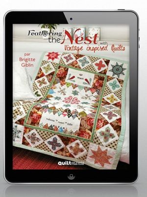 Feathering the nest e-book Brigitte Giblin