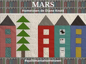 quilt-along-home-town-diane-knott-partie3